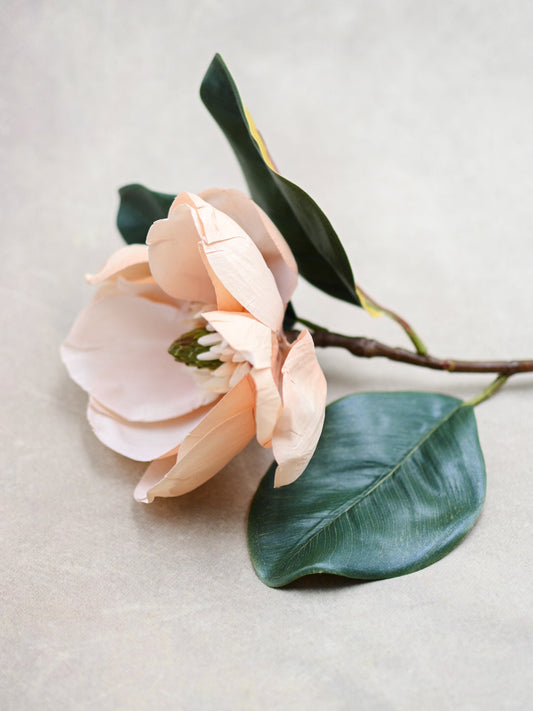 Pink Magnolia Flower Stem