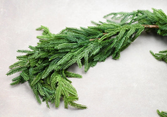 Real Touch Norfolk Pine Garland 71” - Maple Village Lane