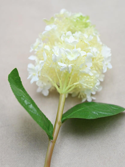 Faux White and Green Hydrangea Stem - Maple Village Lane