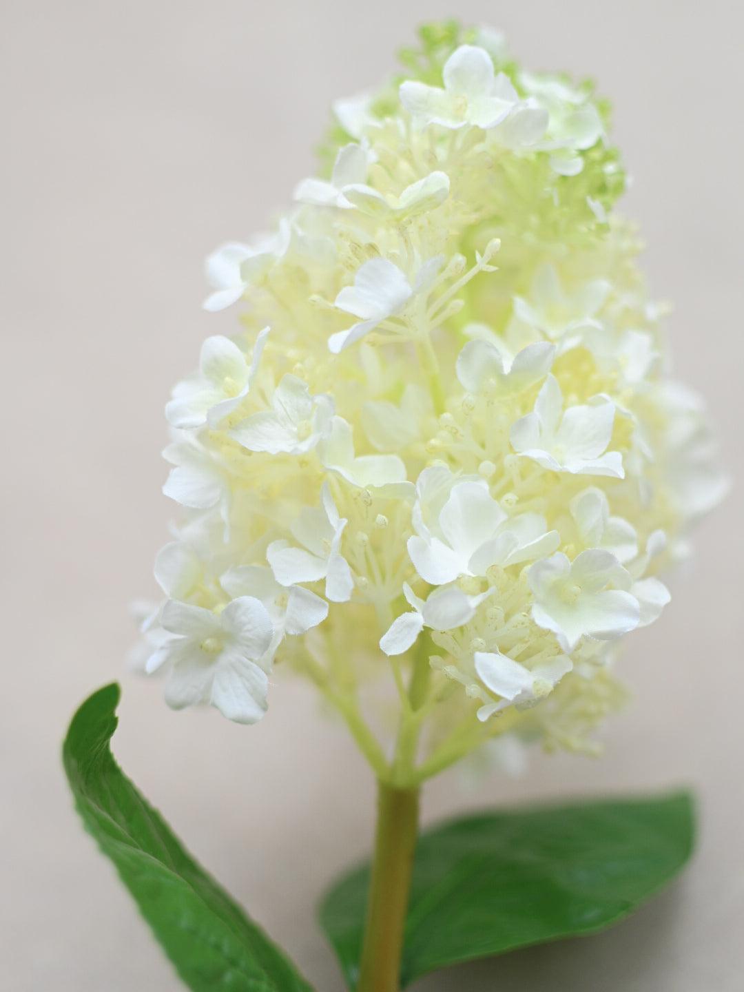 Faux White and Green Hydrangea Stem - Maple Village Lane