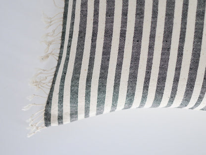 Otis Striped Pillow Cover